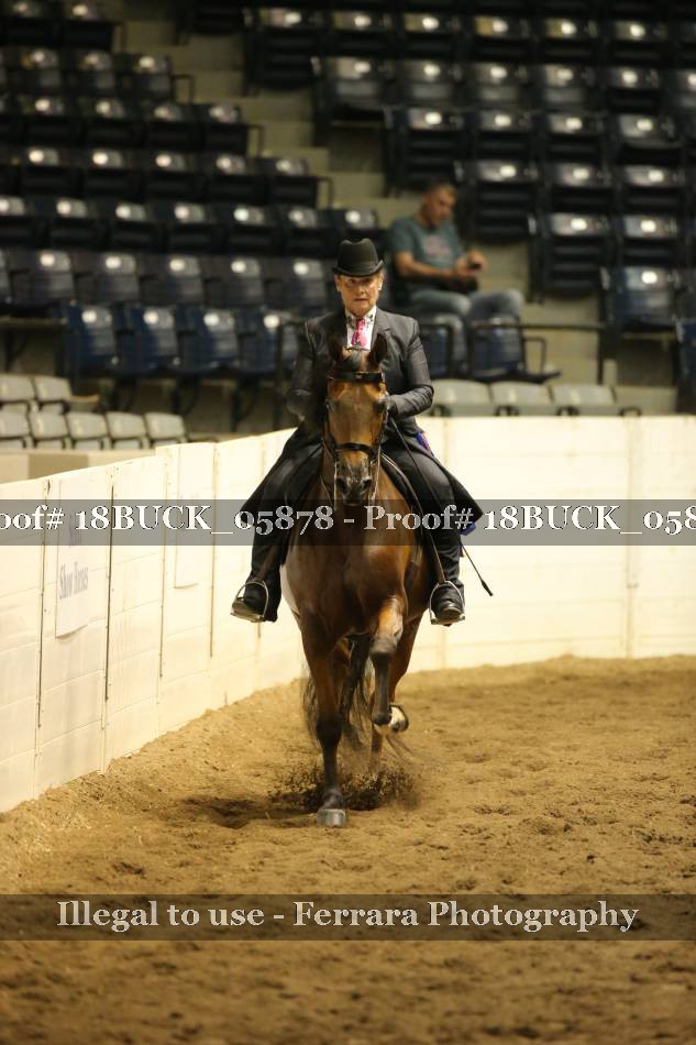 Proof 18BUCK_05878