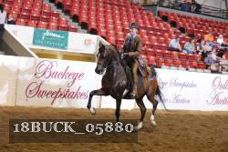 18BUCK_05880 proof