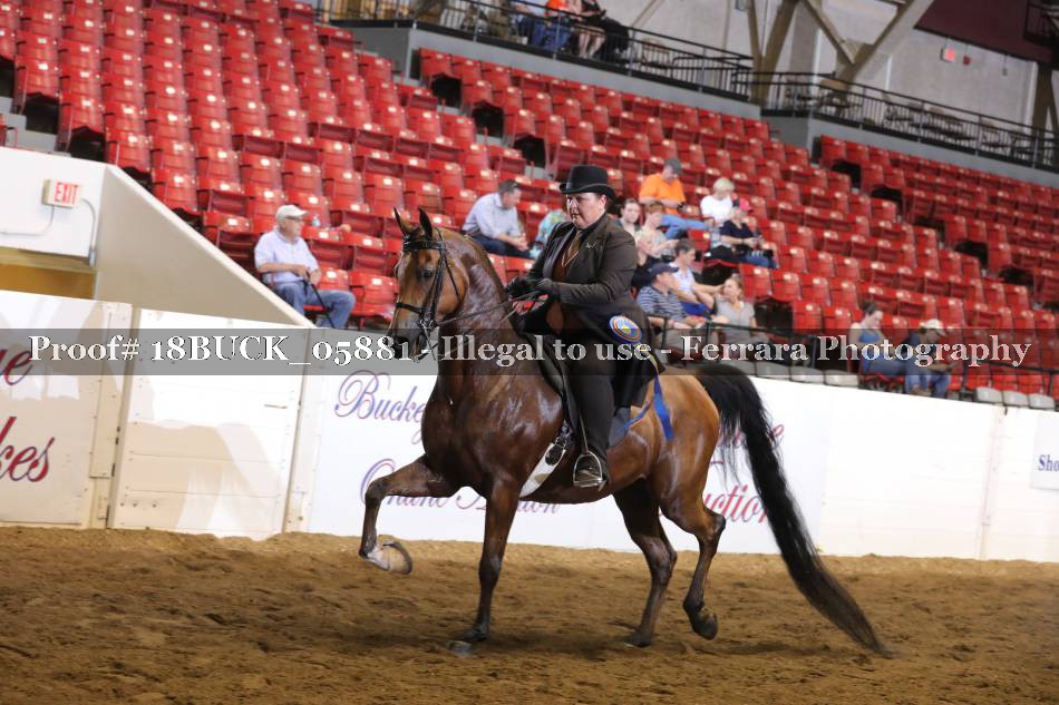Proof 18BUCK_05881