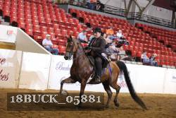 18BUCK_05881 proof