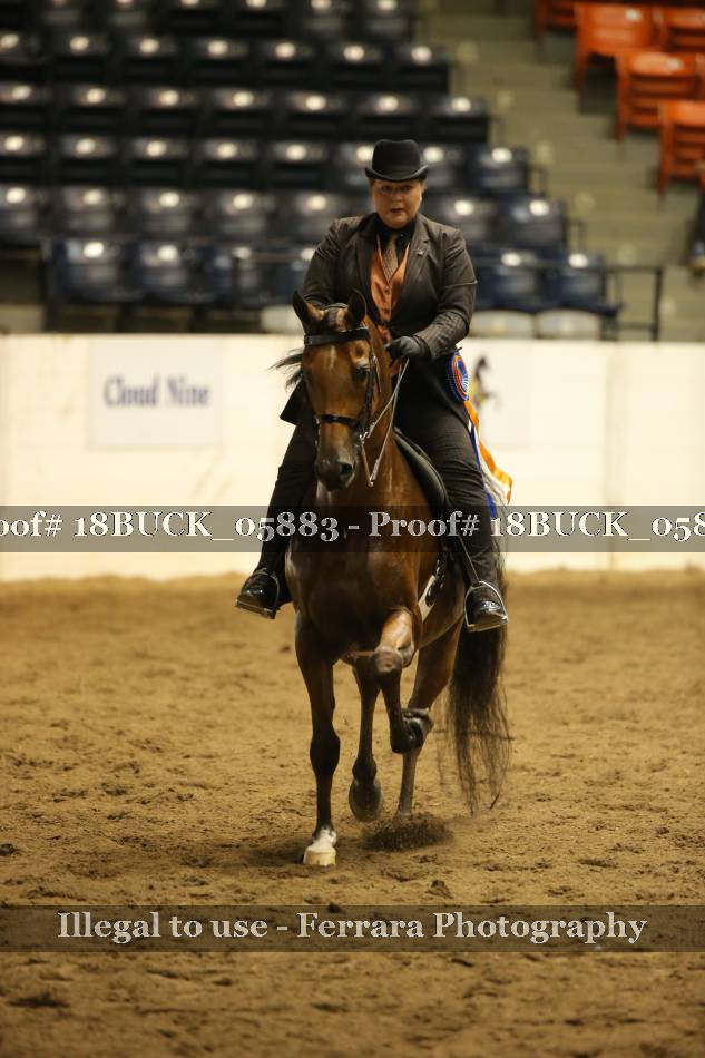 Proof 18BUCK_05883