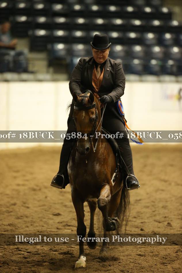 Proof 18BUCK_05884
