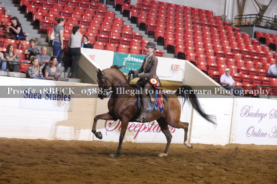 Proof 18BUCK_05885