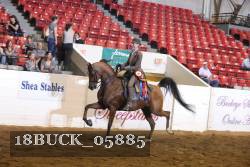 18BUCK_05885 proof