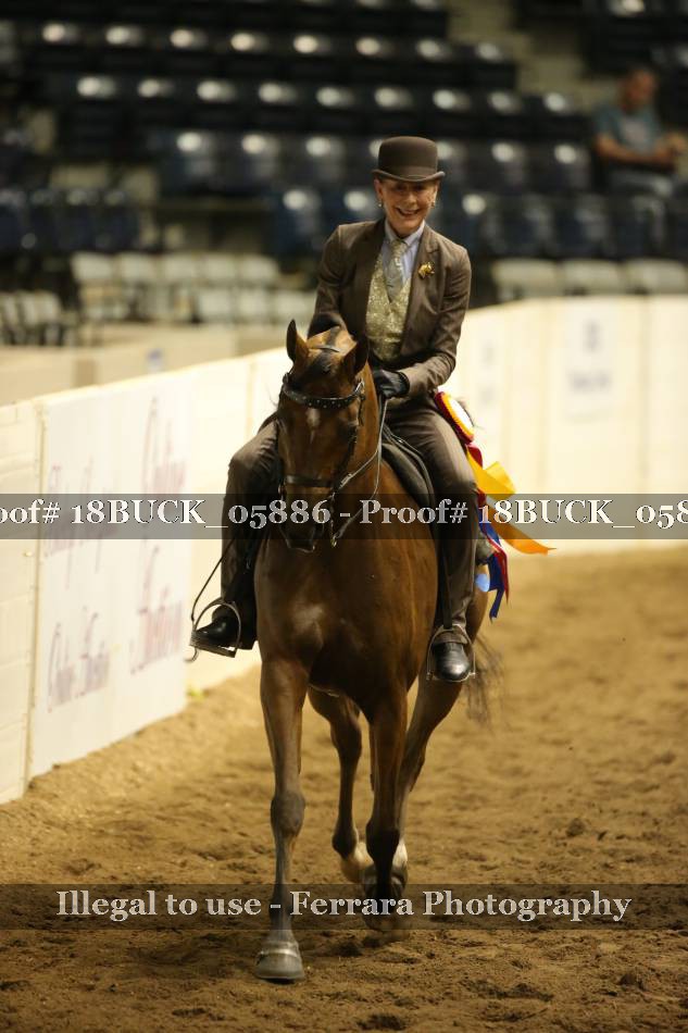 Proof 18BUCK_05886