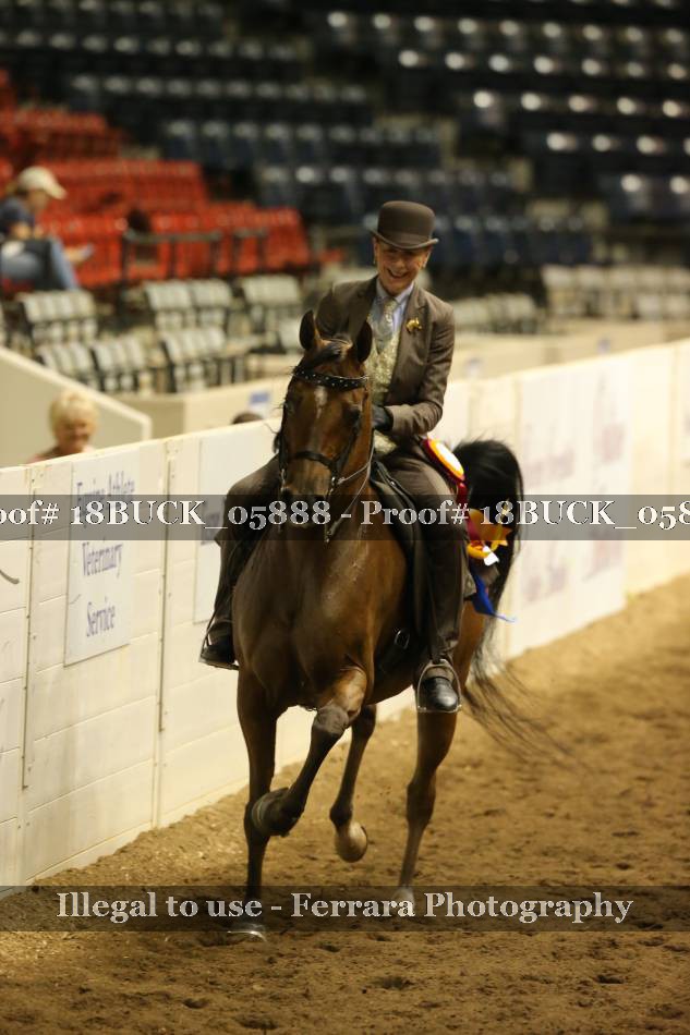 Proof 18BUCK_05888