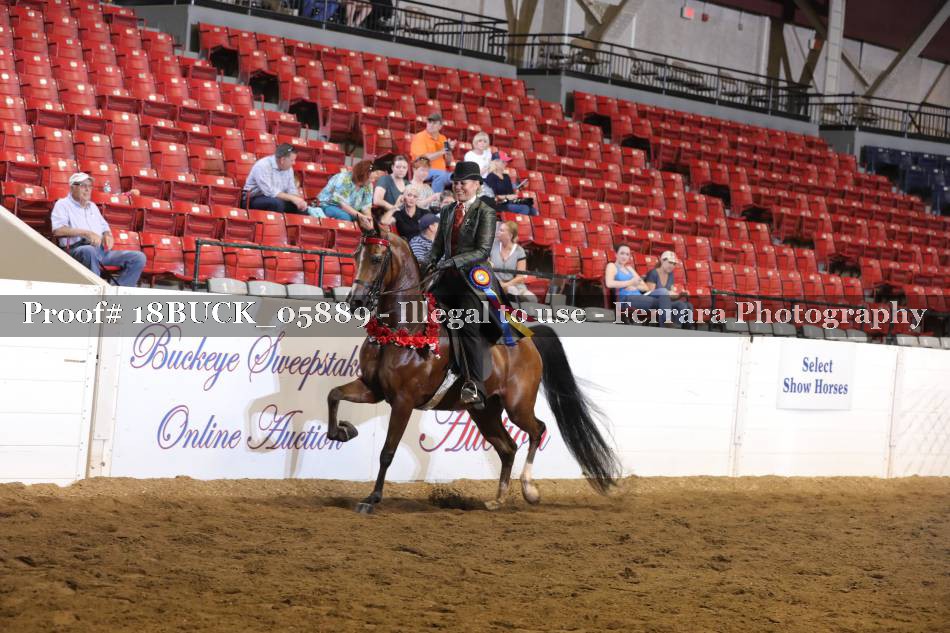 Proof 18BUCK_05889