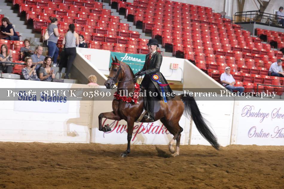 Proof 18BUCK_05890