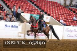 18BUCK_05890 proof