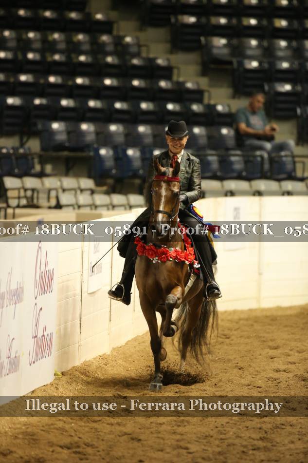 Proof 18BUCK_05891