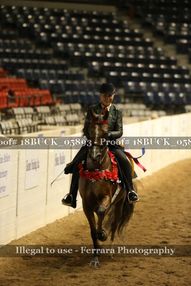 Proof 18BUCK_05893