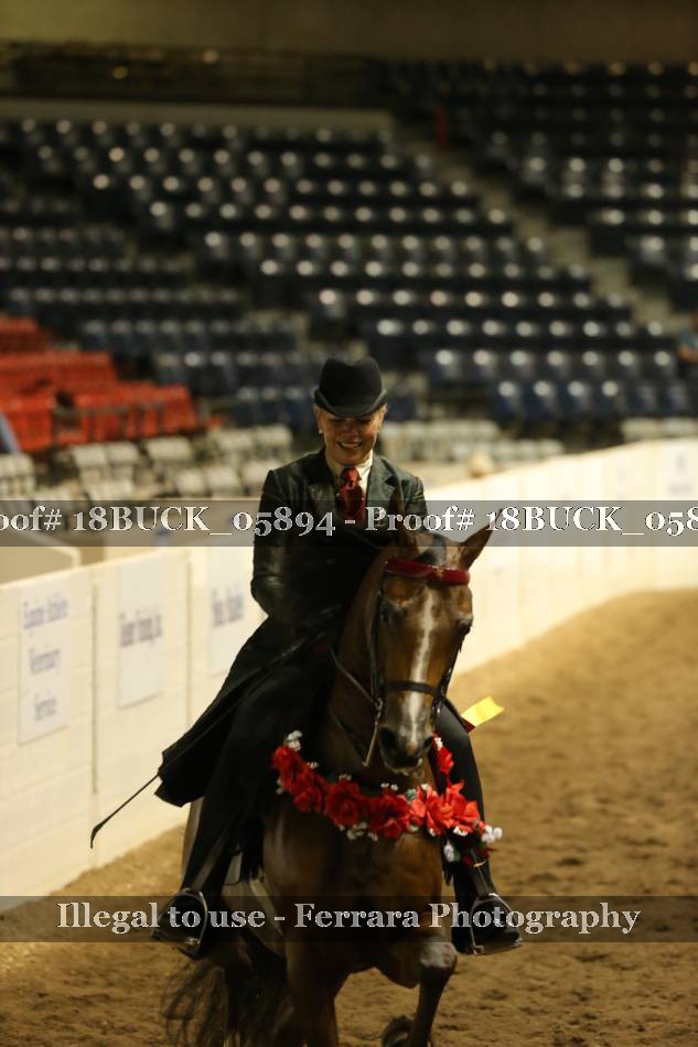 Proof 18BUCK_05894