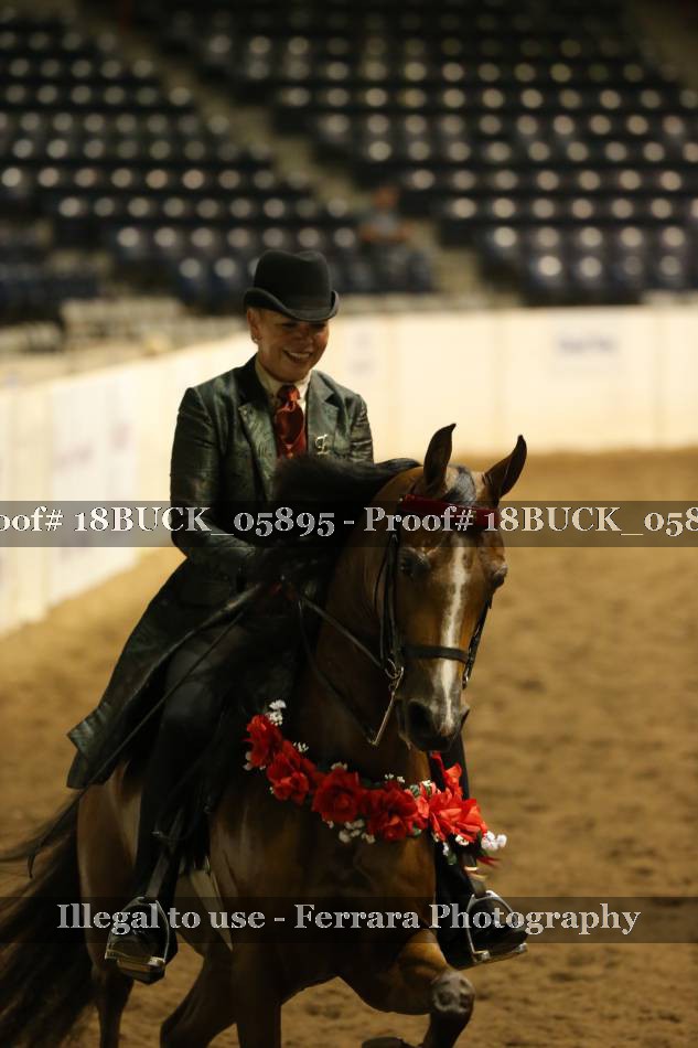 Proof 18BUCK_05895