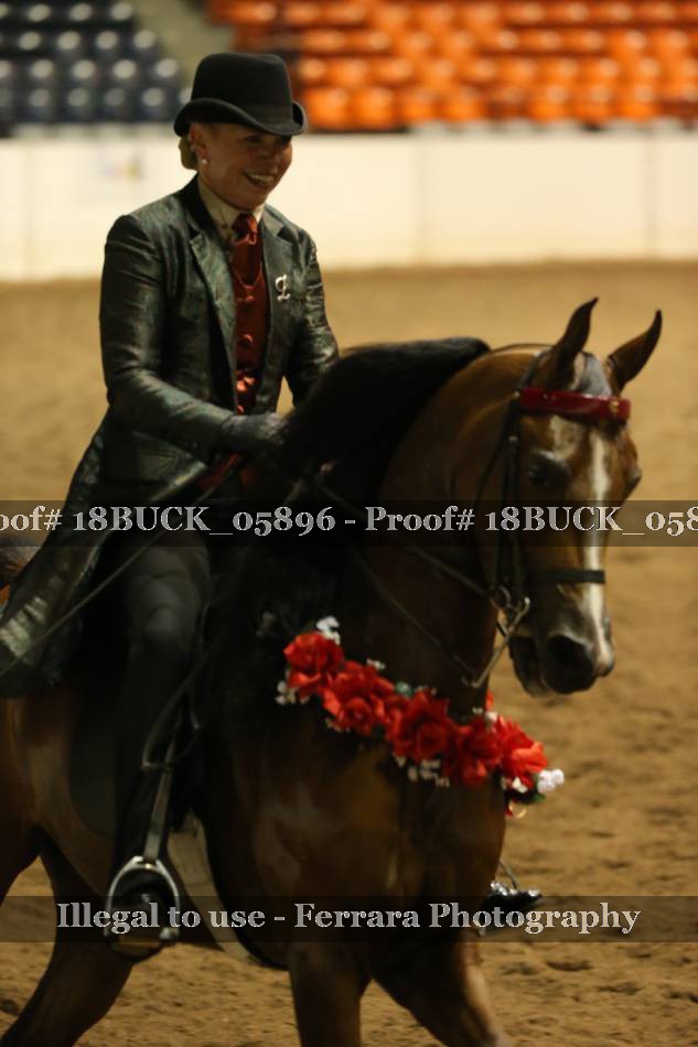 Proof 18BUCK_05896