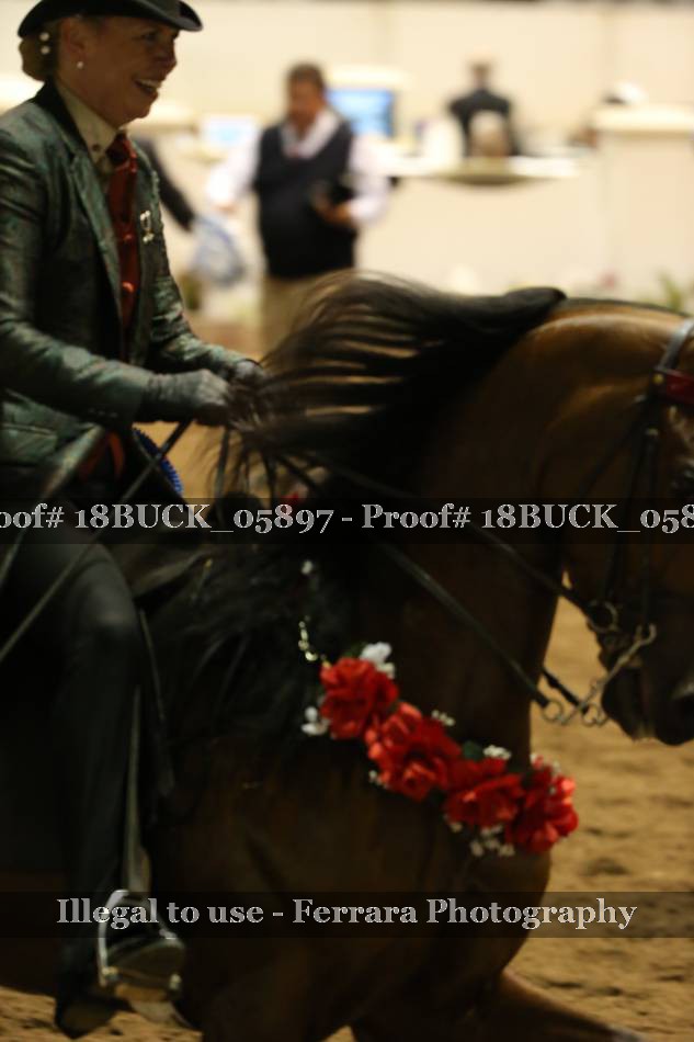 Proof 18BUCK_05897