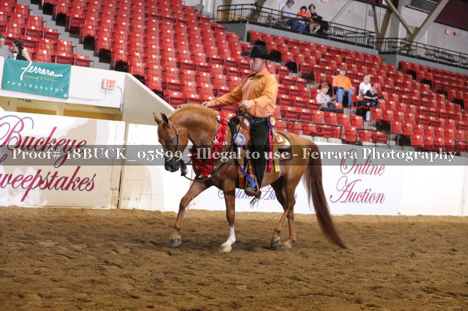 Proof 18BUCK_05899