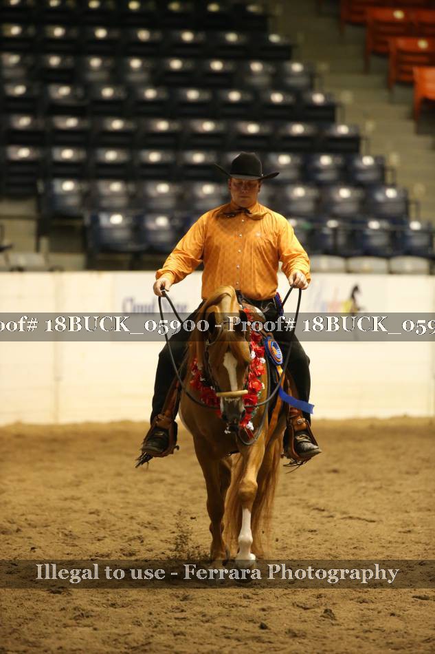 Proof 18BUCK_05900