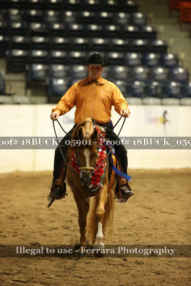 Proof 18BUCK_05901