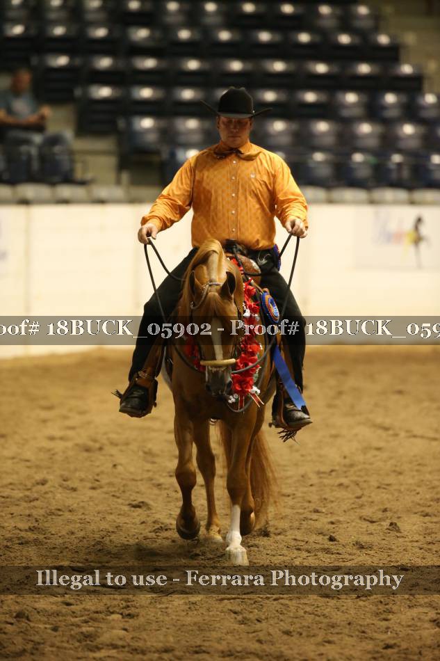 Proof 18BUCK_05902