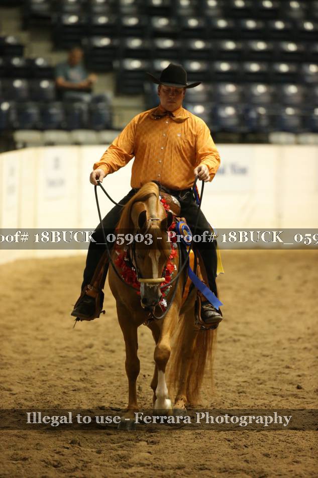 Proof 18BUCK_05903