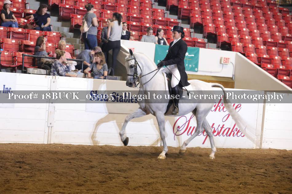 Proof 18BUCK_05905