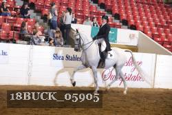 18BUCK_05905 proof