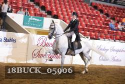 18BUCK_05906 proof