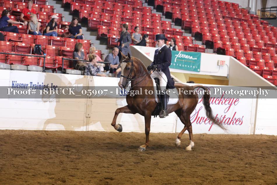 Proof 18BUCK_05907