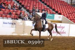 18BUCK_05907 proof