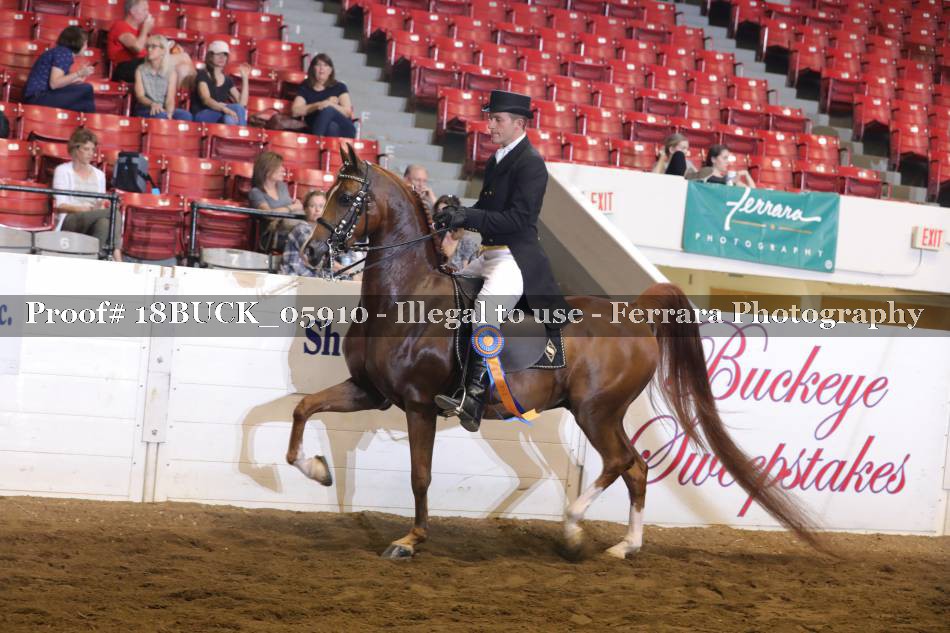 Proof 18BUCK_05910