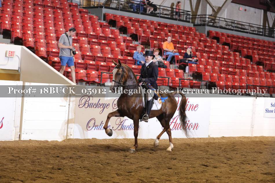 Proof 18BUCK_05912