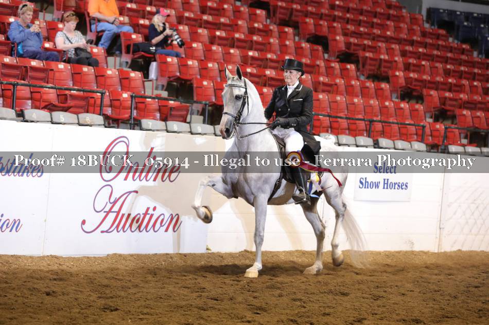 Proof 18BUCK_05914