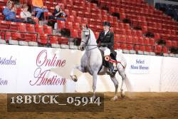 18BUCK_05914 proof