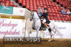 18BUCK_05915 proof