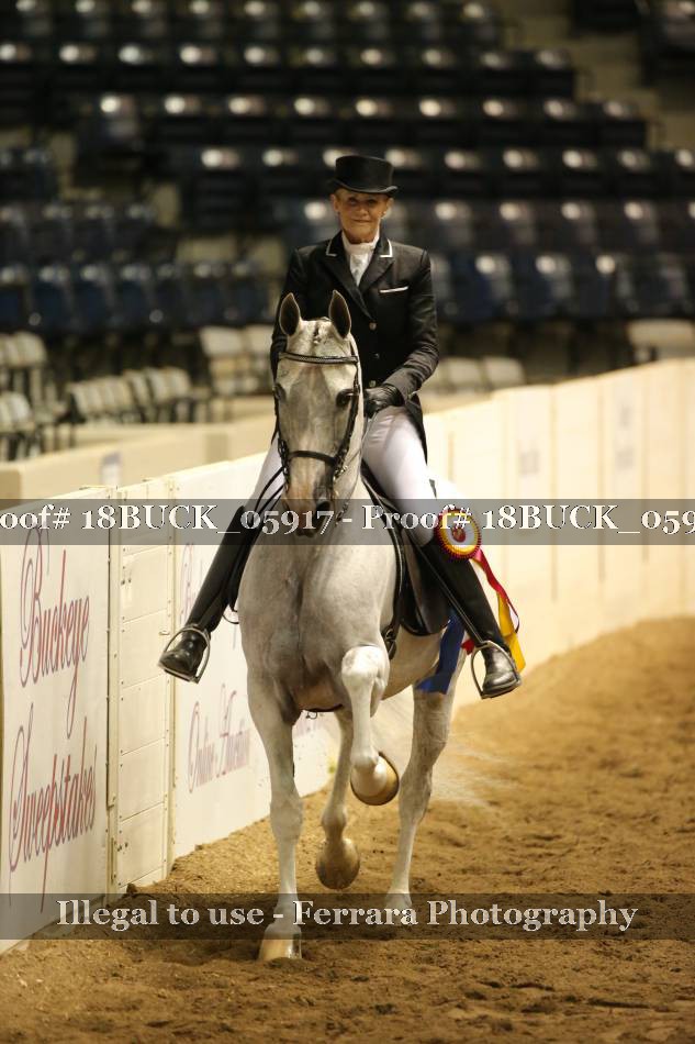 Proof 18BUCK_05917