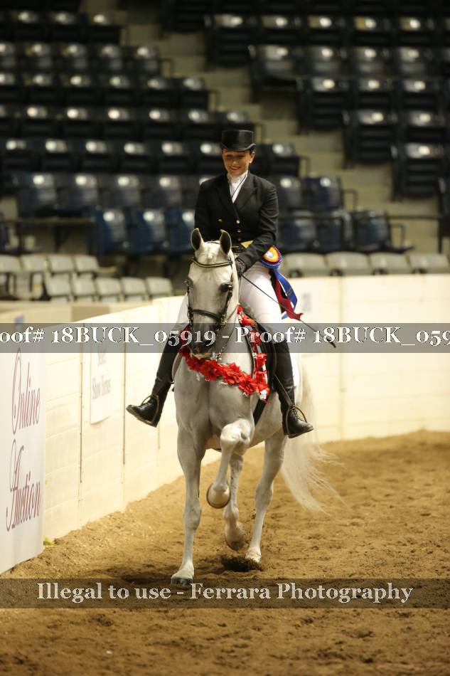 Proof 18BUCK_05919