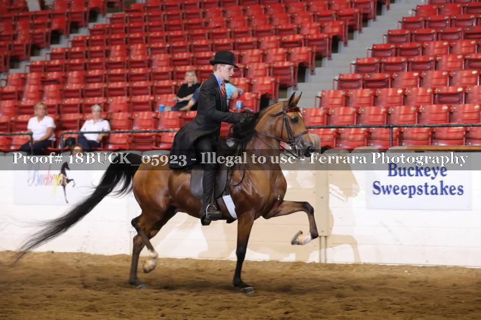 Proof 18BUCK_05923