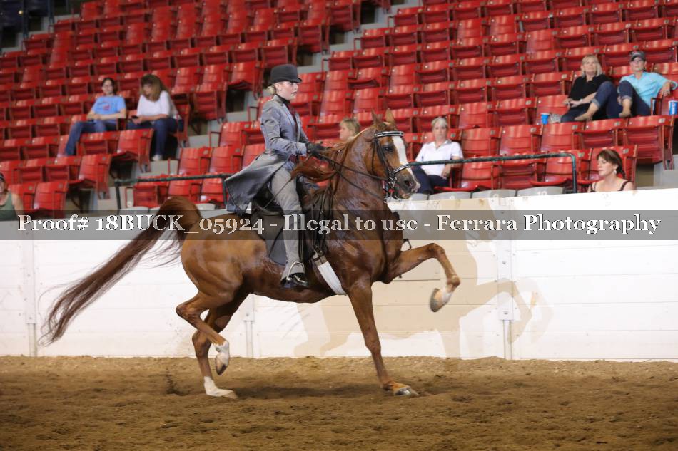 Proof 18BUCK_05924
