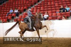 18BUCK_05924 proof