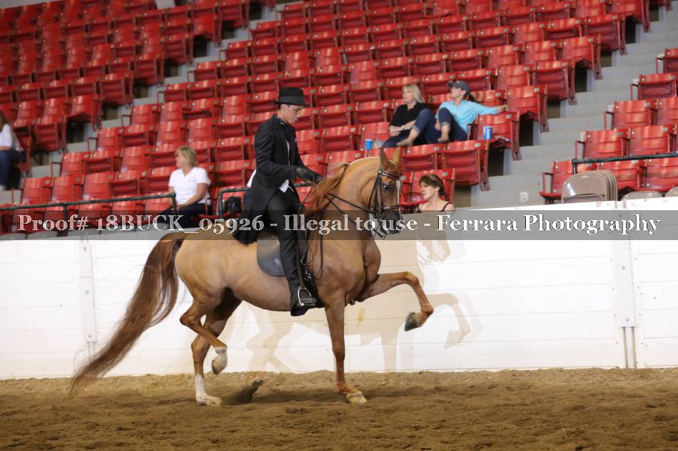 Proof 18BUCK_05926