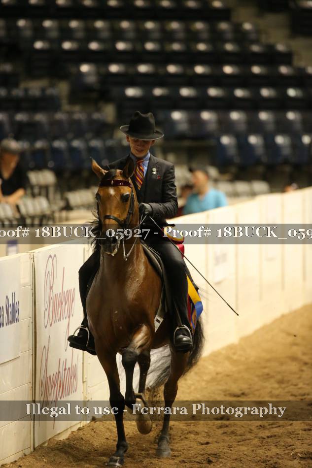 Proof 18BUCK_05927
