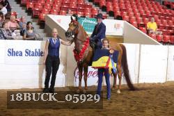 18BUCK_05929 proof