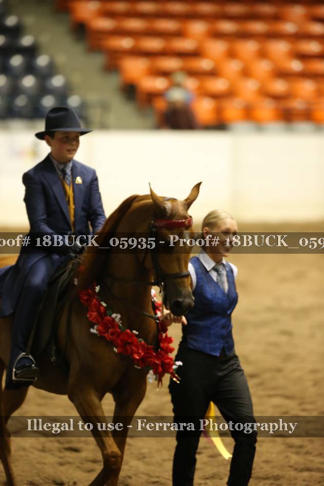 Proof 18BUCK_05935