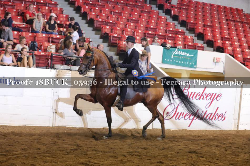 Proof 18BUCK_05936