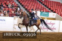 18BUCK_05936 proof