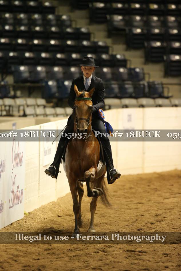 Proof 18BUCK_05937