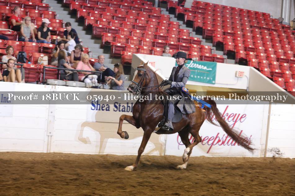 Proof 18BUCK_05940