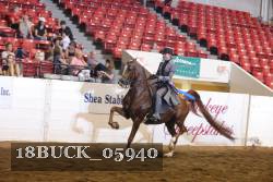 18BUCK_05940 proof