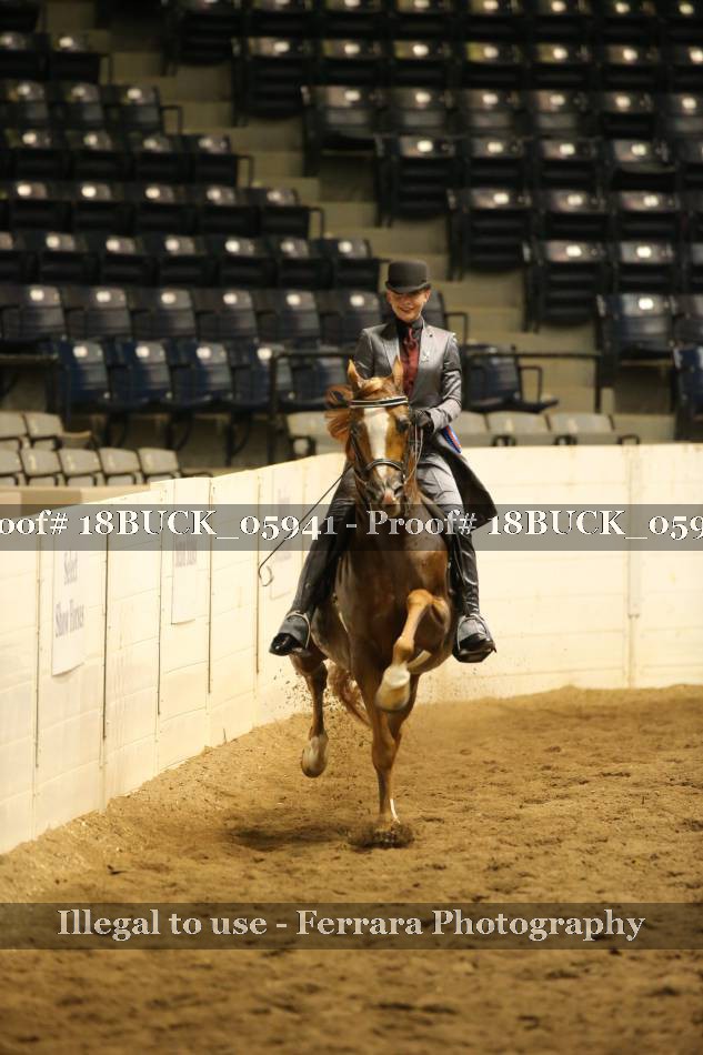 Proof 18BUCK_05941