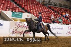18BUCK_05944 proof